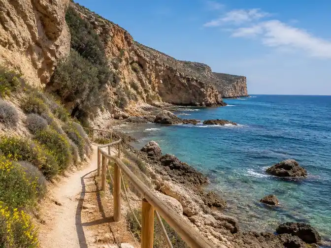 Guía para explorar el entorno natural de la playa del barranco de la mar