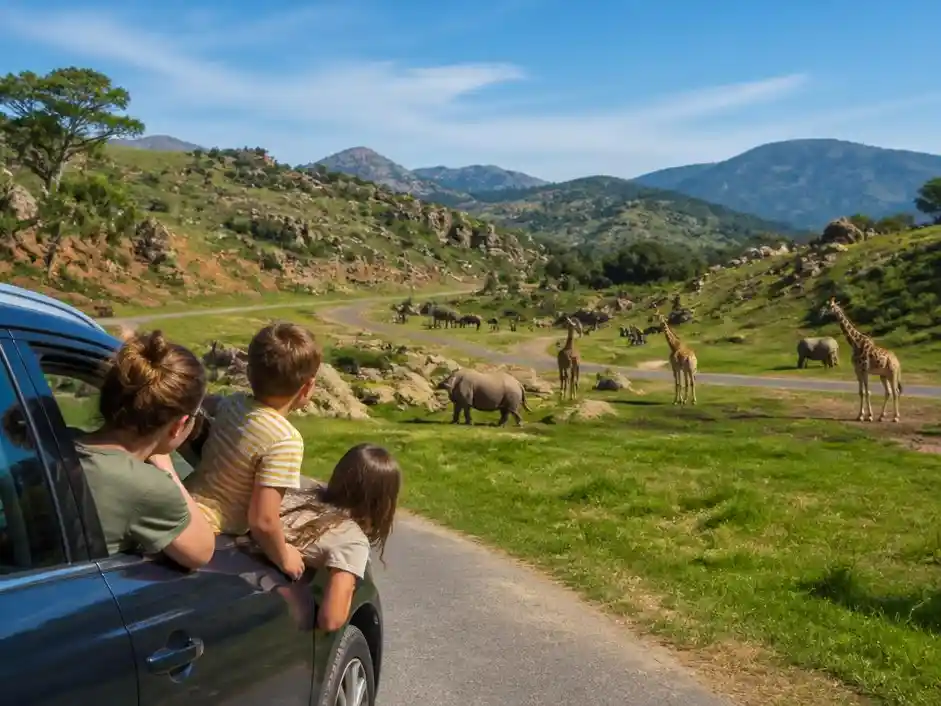 Planificar una jornada de aventura natural en el Parque de Cabárceno